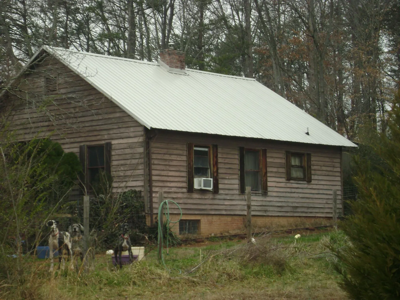 White metal roof on an old wood sided farmhouse, from a Asphalt Shingle Roof Repair job in Shortsville